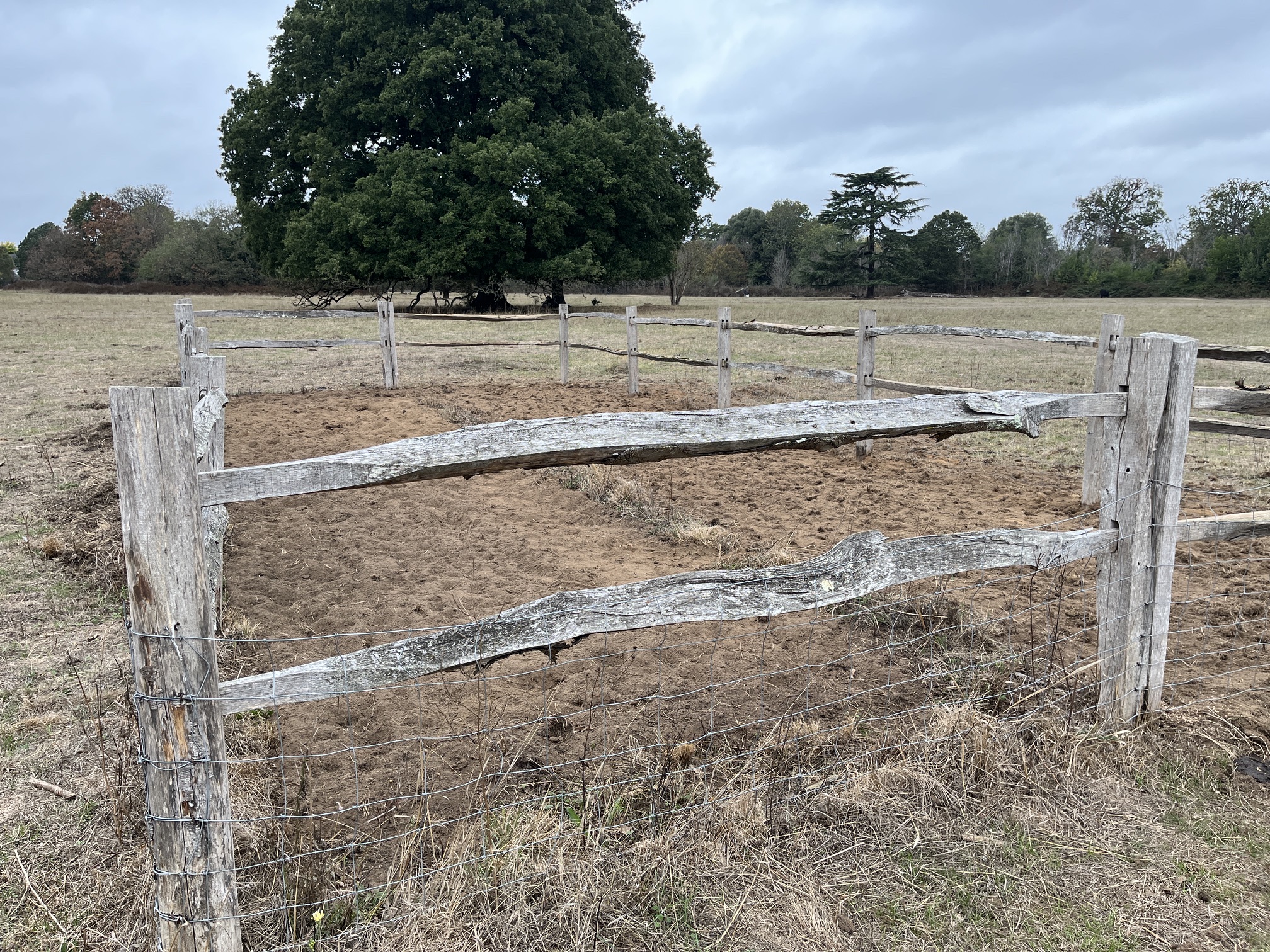 Sunbury_Park_project.jpg - 1.87 MB
